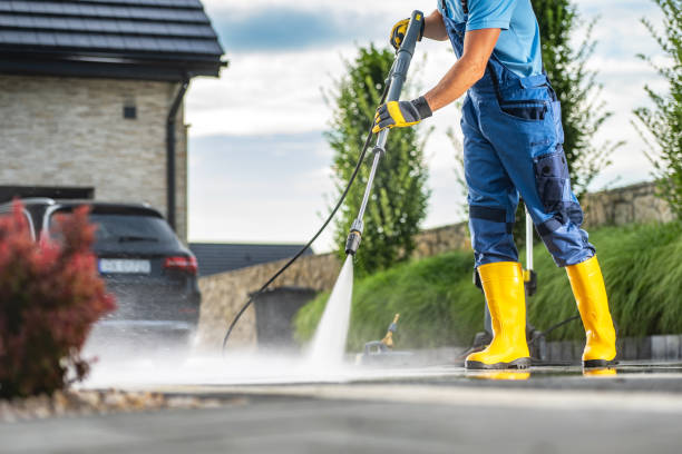 Best Gutter Cleaning  in East Franklin, NJ